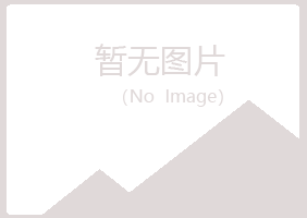 阳山县字迹运输有限公司